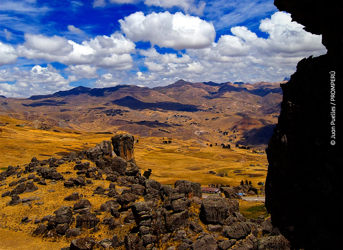 Recorre el Perú con sus platos bandera: aprende la receta en un minuto